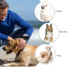 FlexiPaw™ | Correa Retráctil Antienredos para Perros