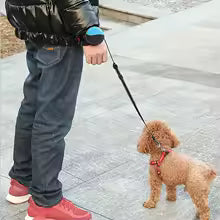 FlexiPaw™ | Correa Retráctil Antienredos para Perros